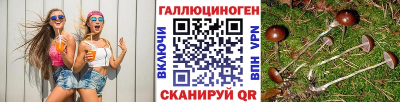 Псилоцибиновые грибы прущие грибы где найти наркотики Макарьев
